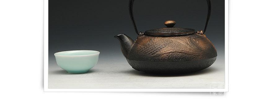 南部鐵器香蘭蜻蜓鐵茶壺